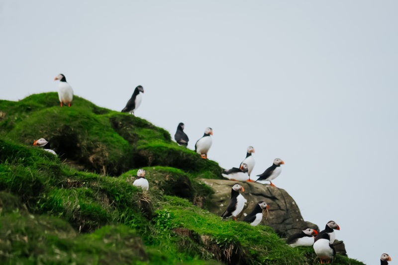 MYKINES EXPERIENCE with Sabina Poulsen
