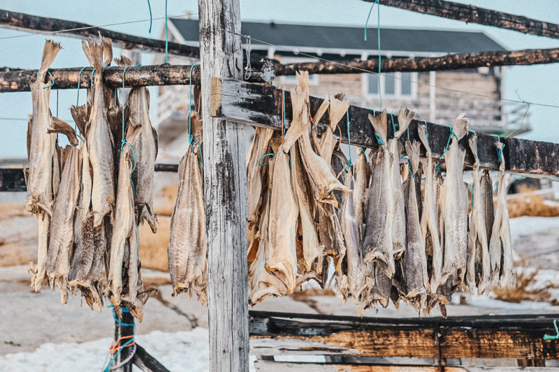 6 DAYS Greenlandic Adventure - Image 5