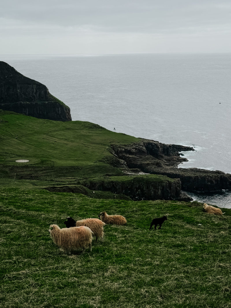 MYKINES EXPERIENCE with Sabina Poulsen - obrazek 4